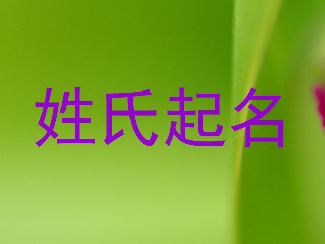 姓氏起名