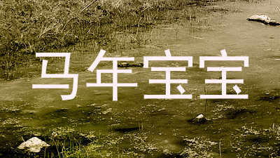 马年宝宝