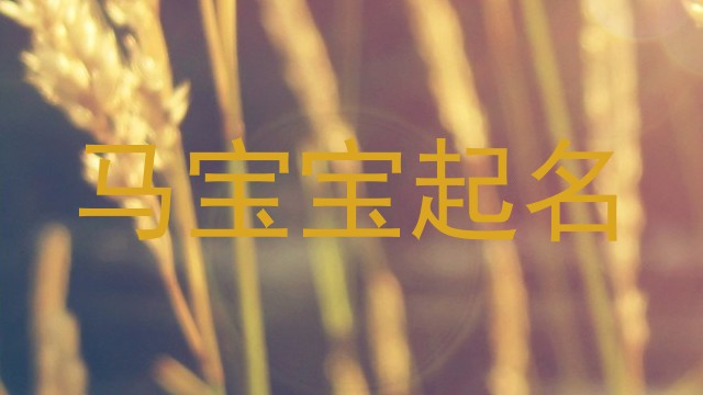 马宝宝起名