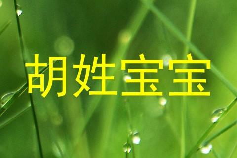 胡姓宝宝