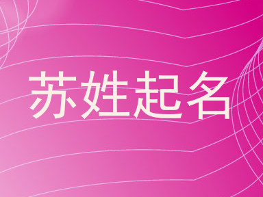 苏姓起名