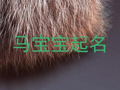 马宝宝起名