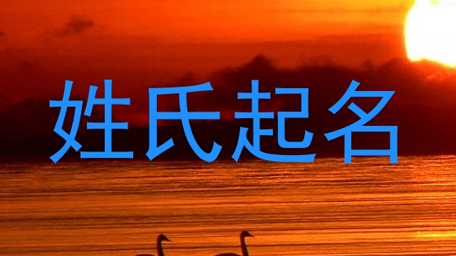 姓氏起名