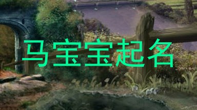马宝宝起名
