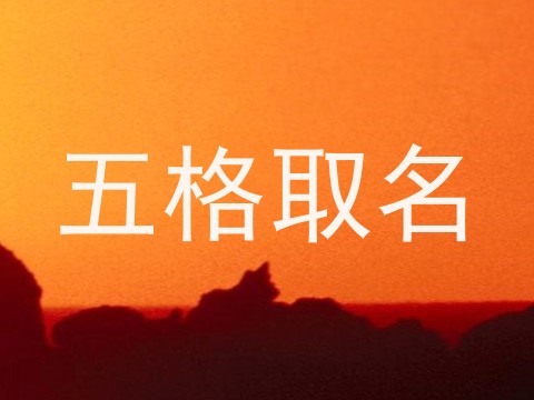 五格取名