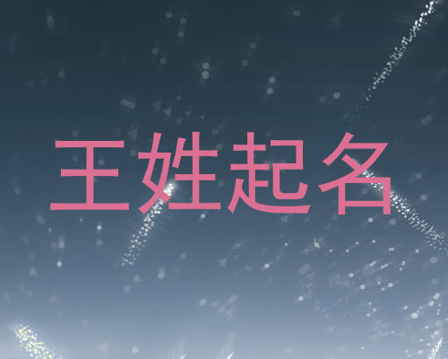 王姓起名