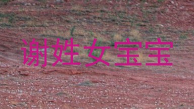 谢姓女宝宝