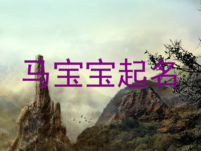 马宝宝起名