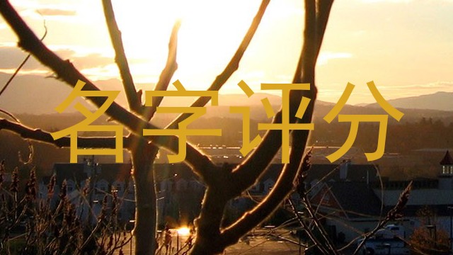 名字评分