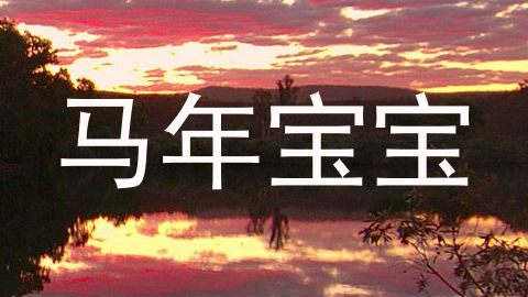 马年宝宝
