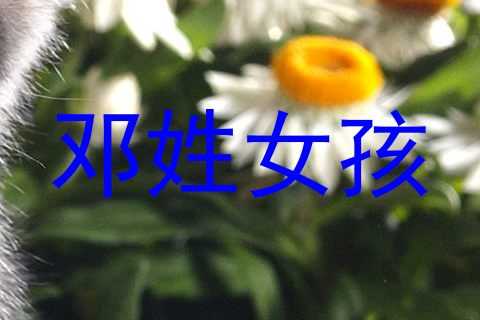 邓姓女孩