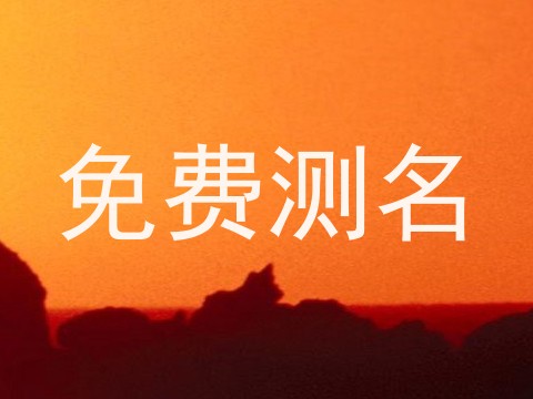 免费测名