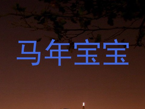 马年宝宝