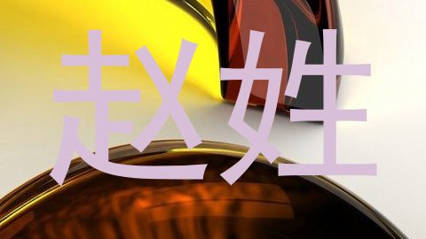 赵姓