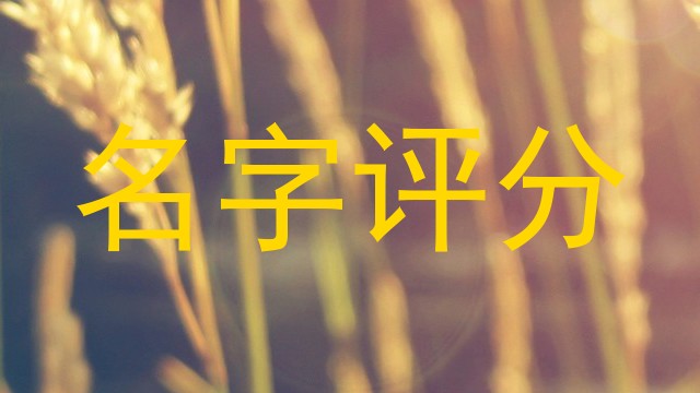 名字评分