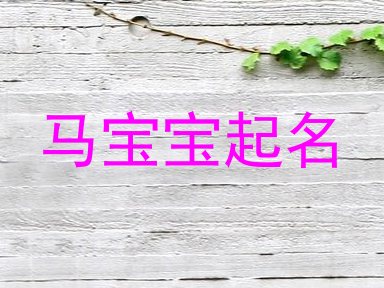 马宝宝起名