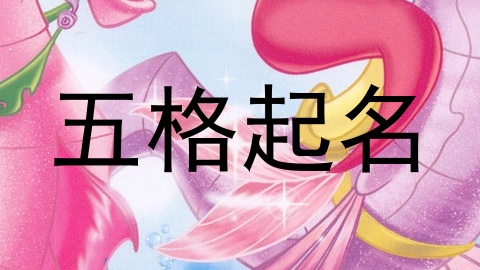 五格起名