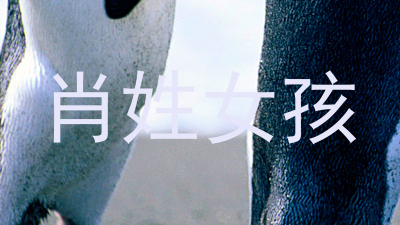 肖姓女孩