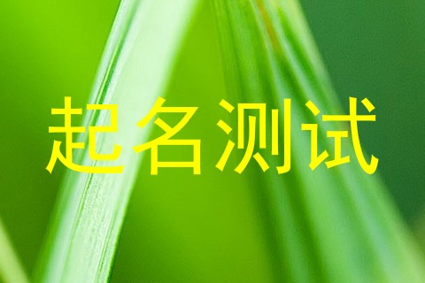 起名测试