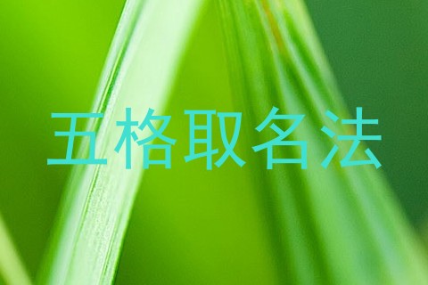 五格取名法