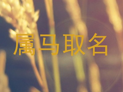 属马取名