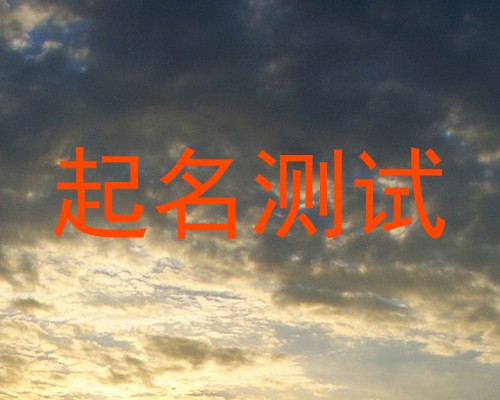 起名测试