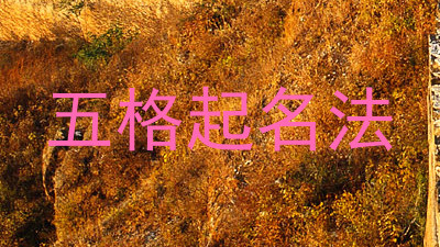 五格起名法