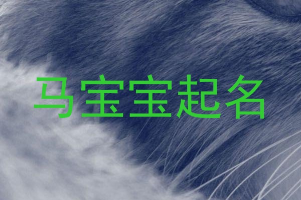 马宝宝起名