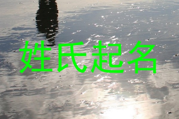 林姓女孩名字