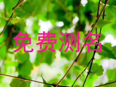 免费测名