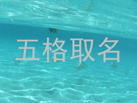 五格取名