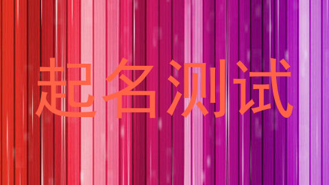 起名测试