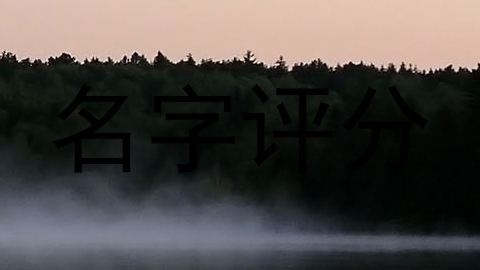 名字评分