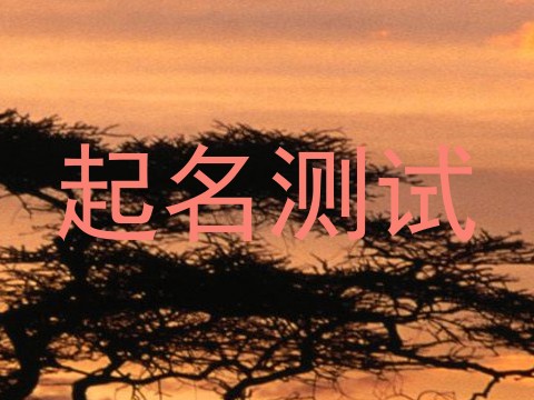 起名测试