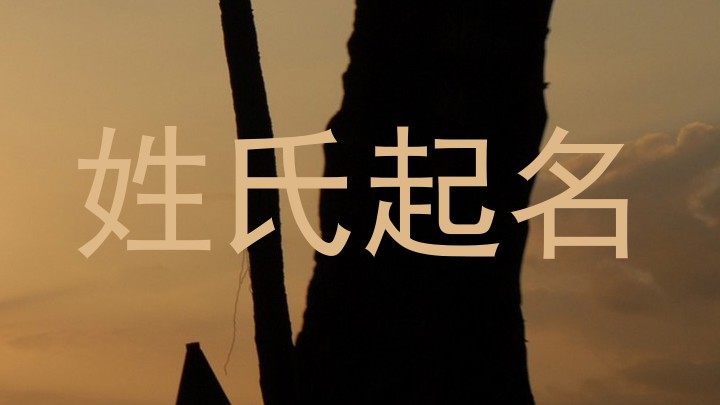 姓氏起名