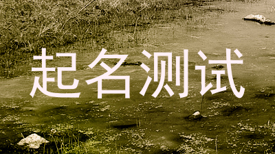 起名测试