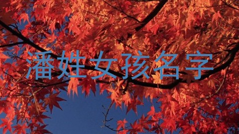 潘姓女孩名字
