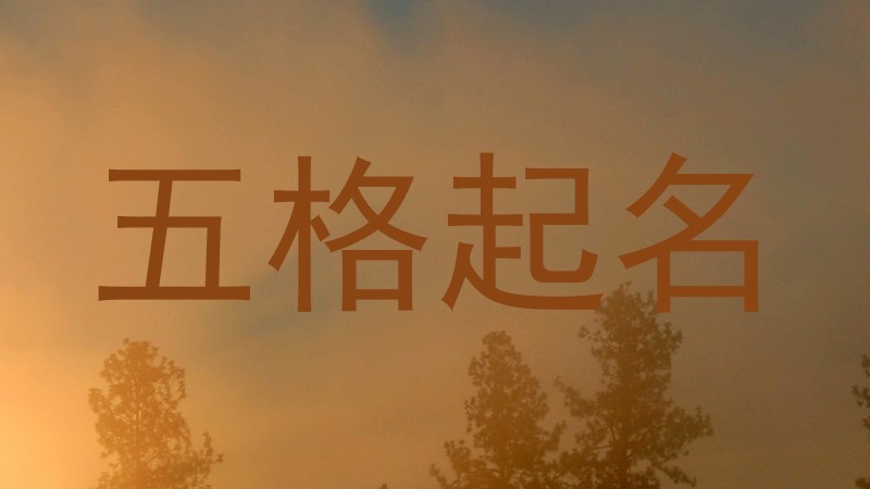 五格起名