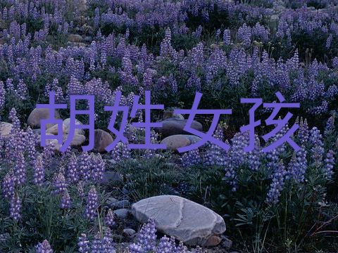 胡姓女孩