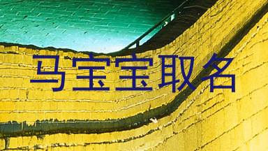 马宝宝取名