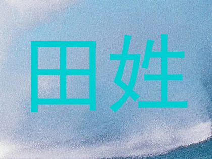 田姓