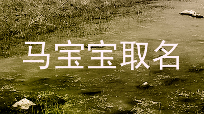 马宝宝取名