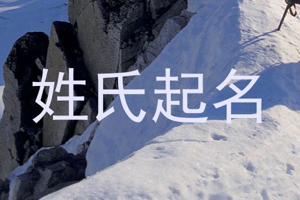 姓氏起名