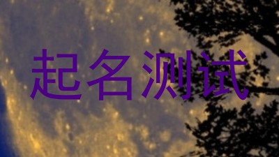起名测试