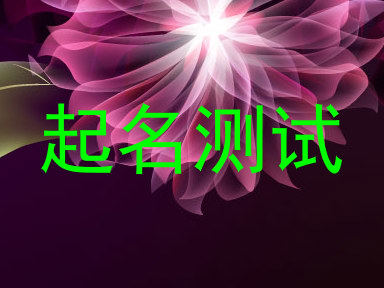 起名测试