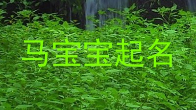 马宝宝起名