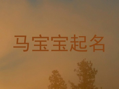 马宝宝起名