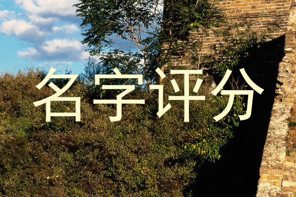 名字评分
