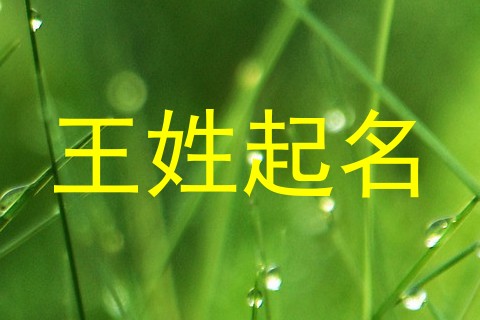 王姓起名