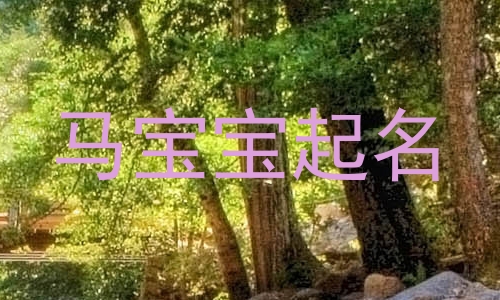 马宝宝起名